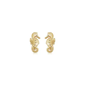 14k Gold Seahorse Stud Earrings