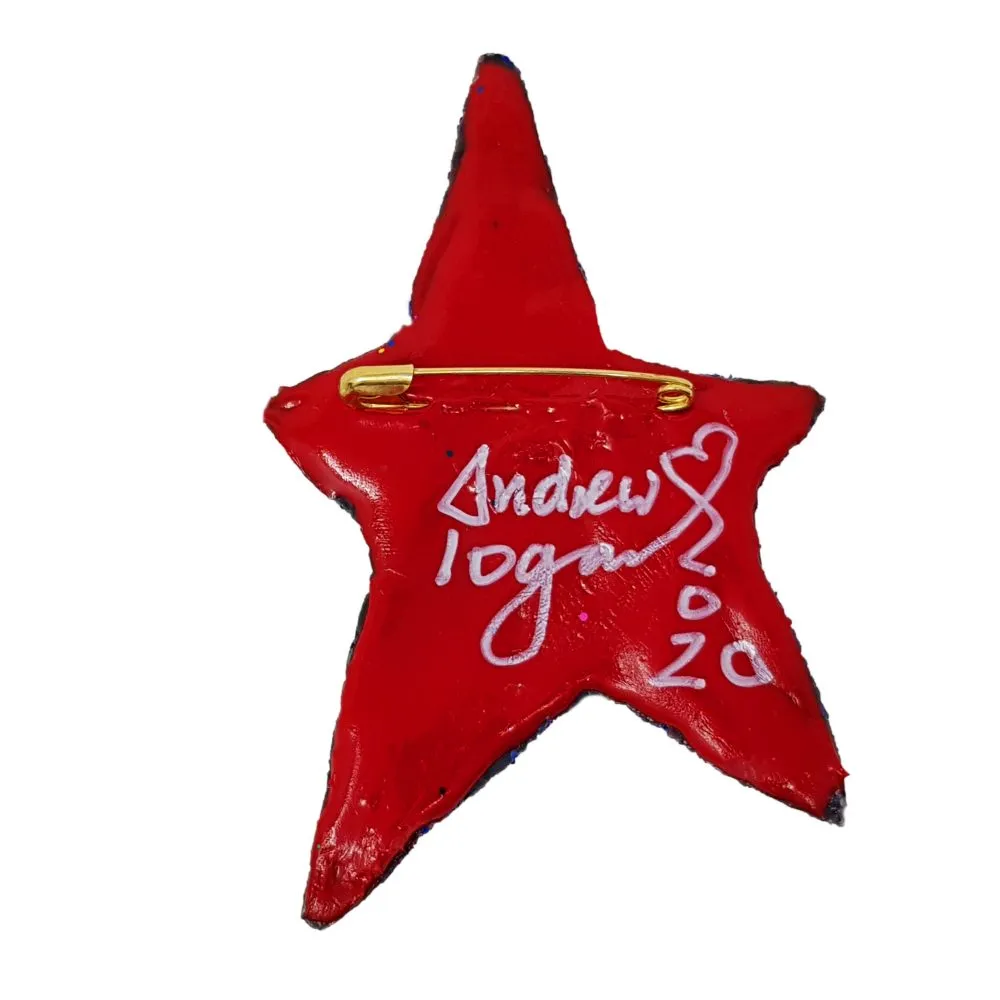 BLUE STAR BROOCH