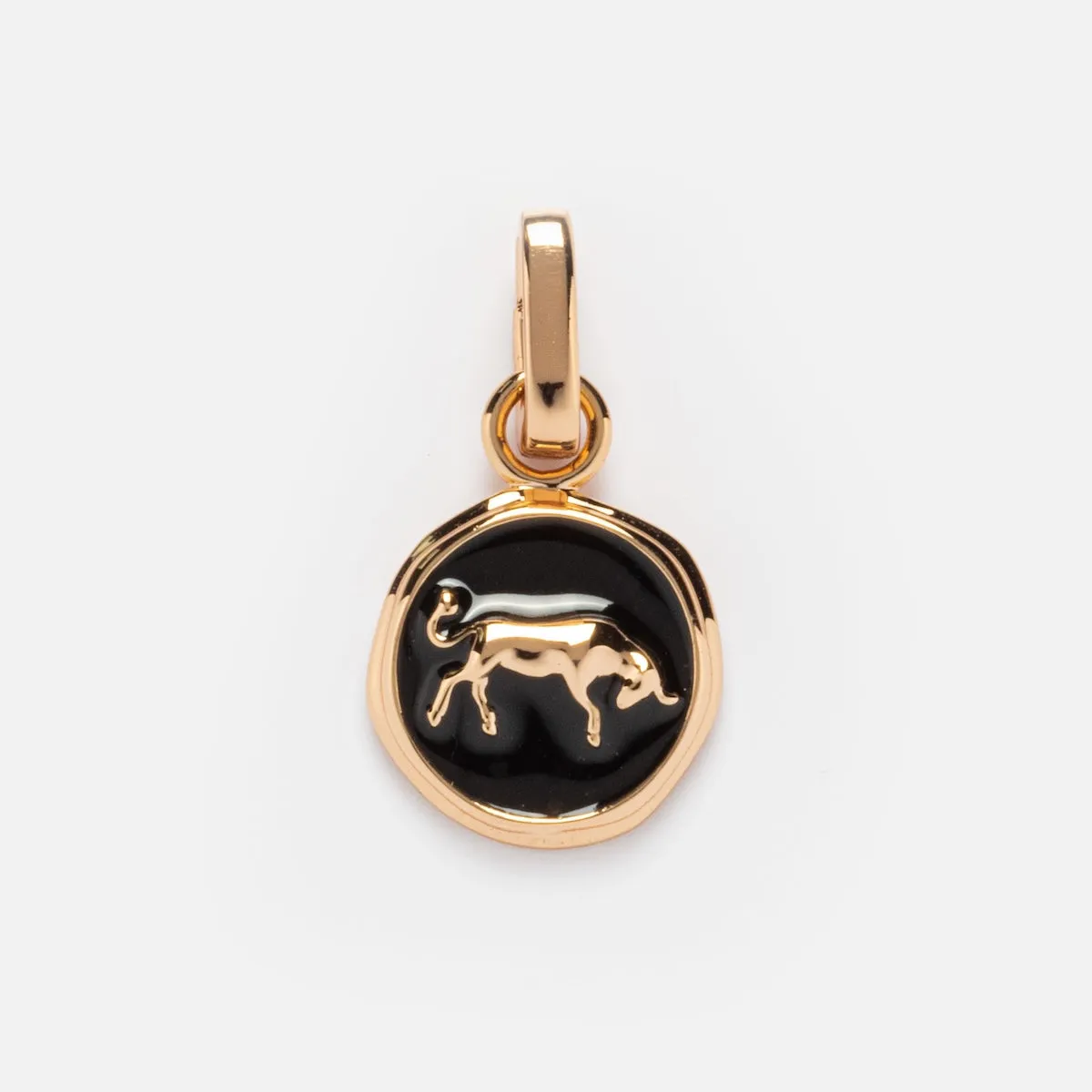 Enamel Zodiac Charm