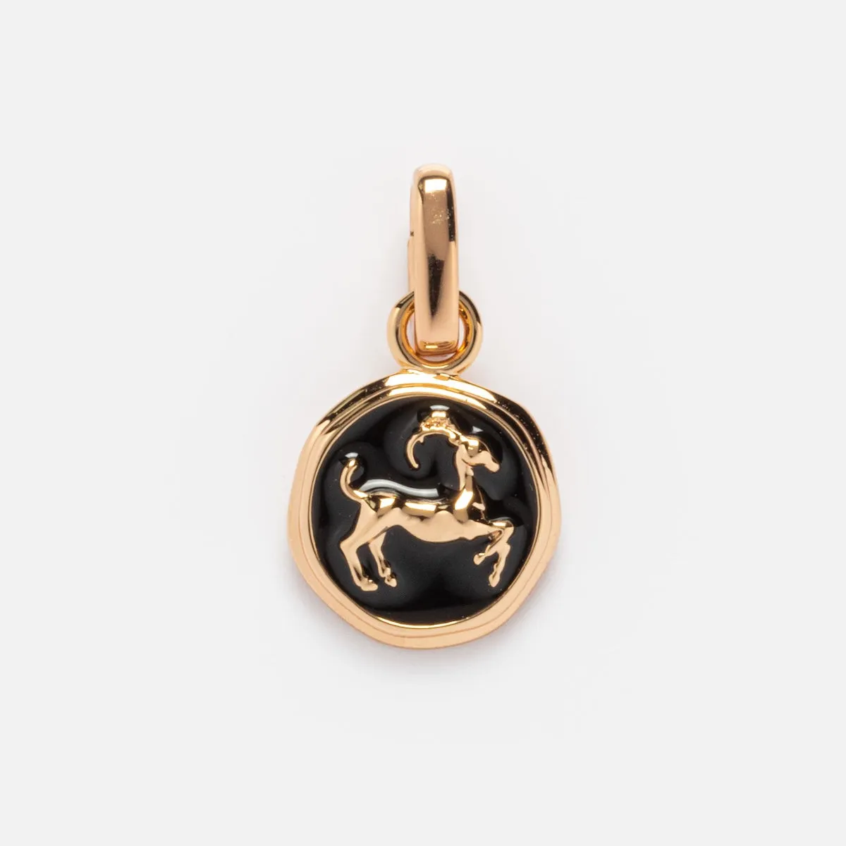 Enamel Zodiac Charm