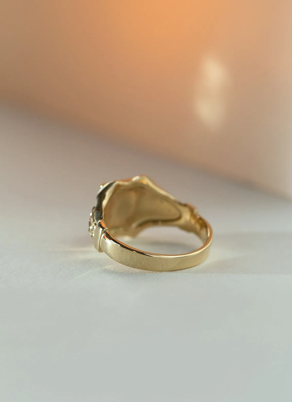 Lenny signet ring 14k gold