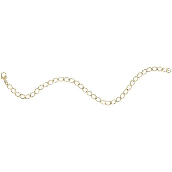 Rembrandt Charms Petite Elongated Oval Link Classic Bracelet