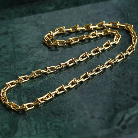 U-shaped Thick Chain Necklace