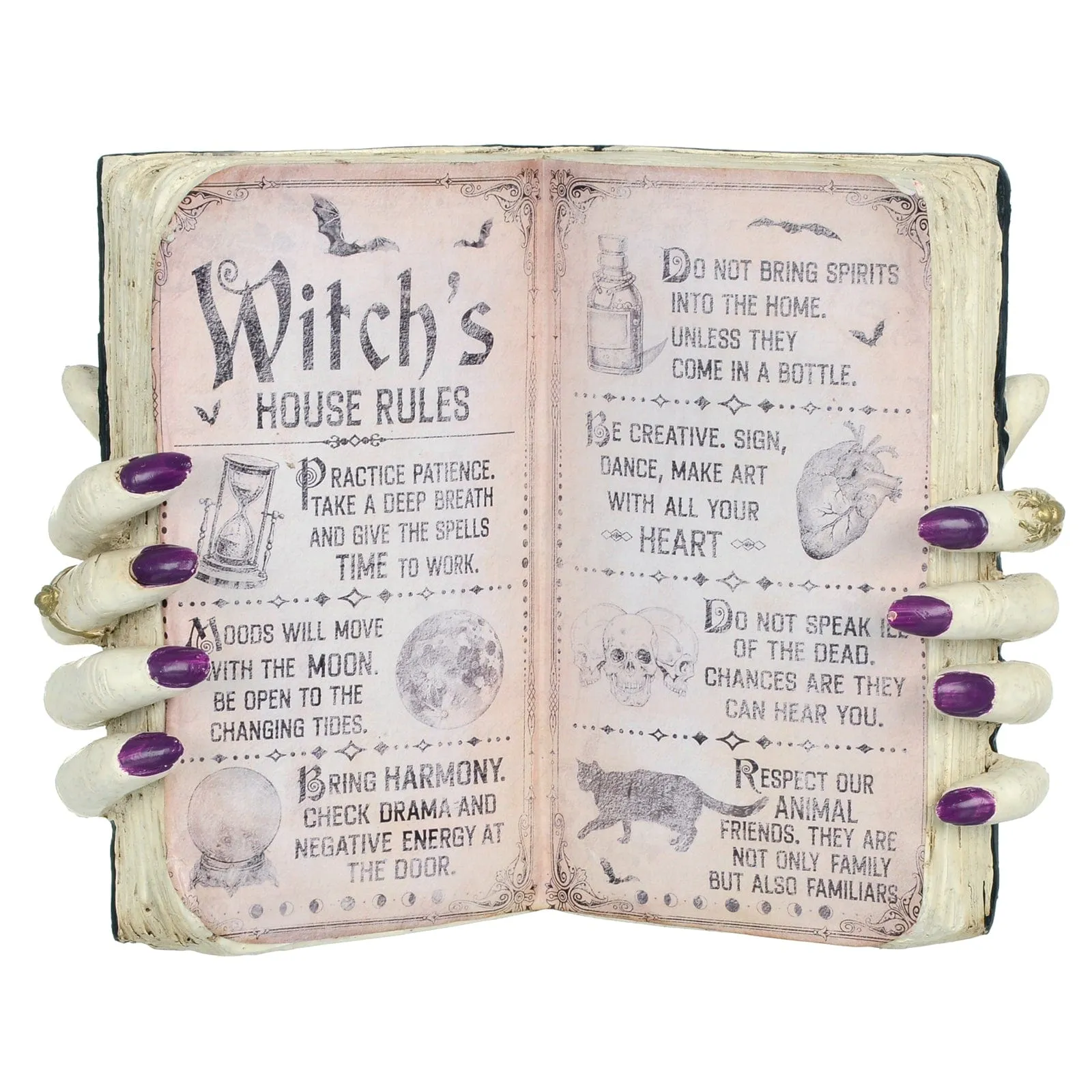 Witch's House Rules Open Book Halloween Party Decoration 25cm